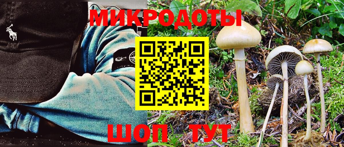 Псилоцибиновые грибы Psilocybine cubensis  Вход с VPN  Псилоцибиновые грибы MAGIC MUSHROOMS  Амурск 